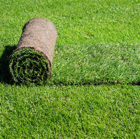 All turf - Specialties: **Save $50 On Your Annual Lawn Care Program. We are Open for Business! We offer Virtual Estimates during COVID-19** Now Offering: -Mosquito Control -Lawn Aeration/Seeding -Top Dressing Services & More... Established in 1994. All Turf Inc. is a father and son owned business; we have been in the Lawn Care industry for over 20 …